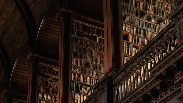 Bibliothek Hogwarts